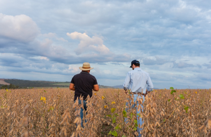 BASF accelerates the development of solutions for Brazil's main cropping systems