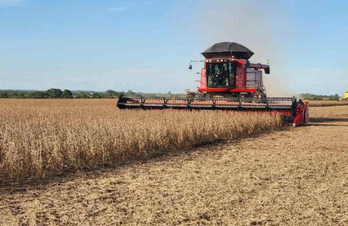 Colheita de soja avança com boas expectativas no Tocantins