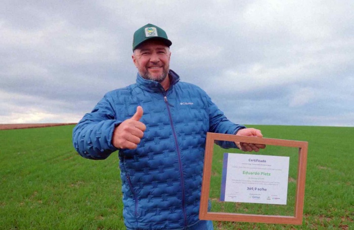 Milho bate recorde e supera 369 sacas por hectare