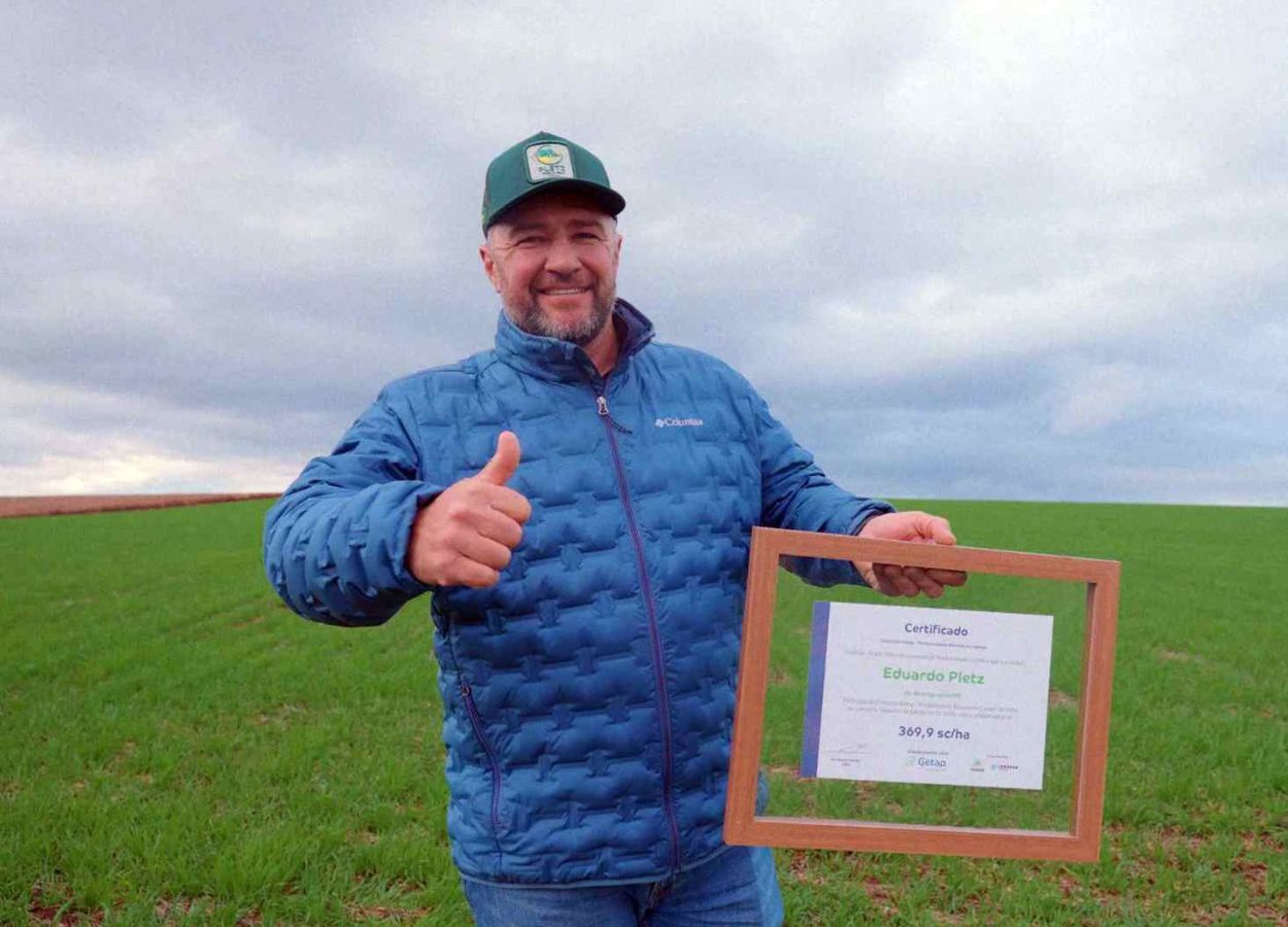 Milho bate recorde e supera 369 sacas por hectare
