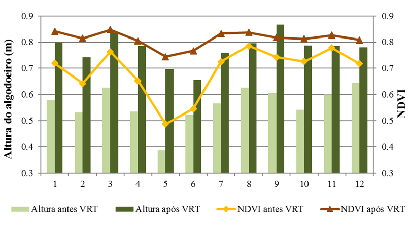Figura 5 - Relação entre o índice de vegetação NDVI e a altura das plantas em todos os blocos experimentais antes e após a primeira aplicação do regulador de crescimento no algodoeiro 