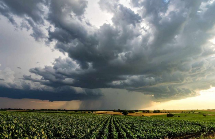 El Niño deve elevar desafios da safra 2026/27, diz Itaú BBA