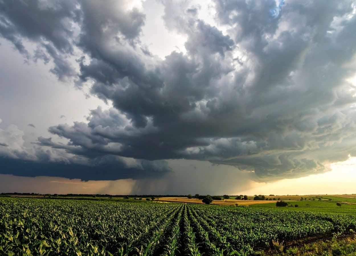 El Niño deve elevar desafios da safra 2026/27, diz Itaú BBA
