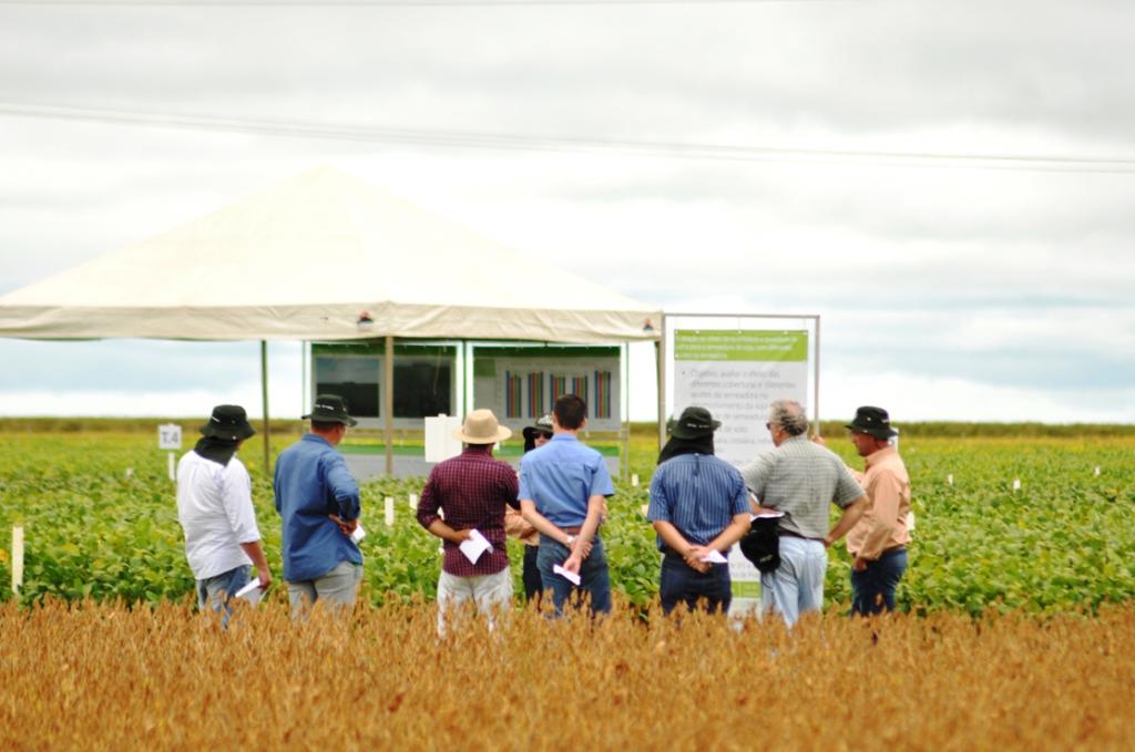Pesquisa, tempo, tecnologia e aprendizado reafirmam o trabalho da Fundação MT no campo