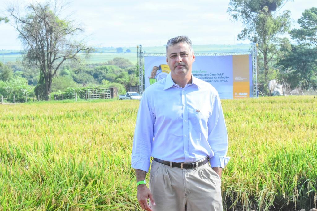 Produtividade e preços vão marcar abertura da colheita do arroz