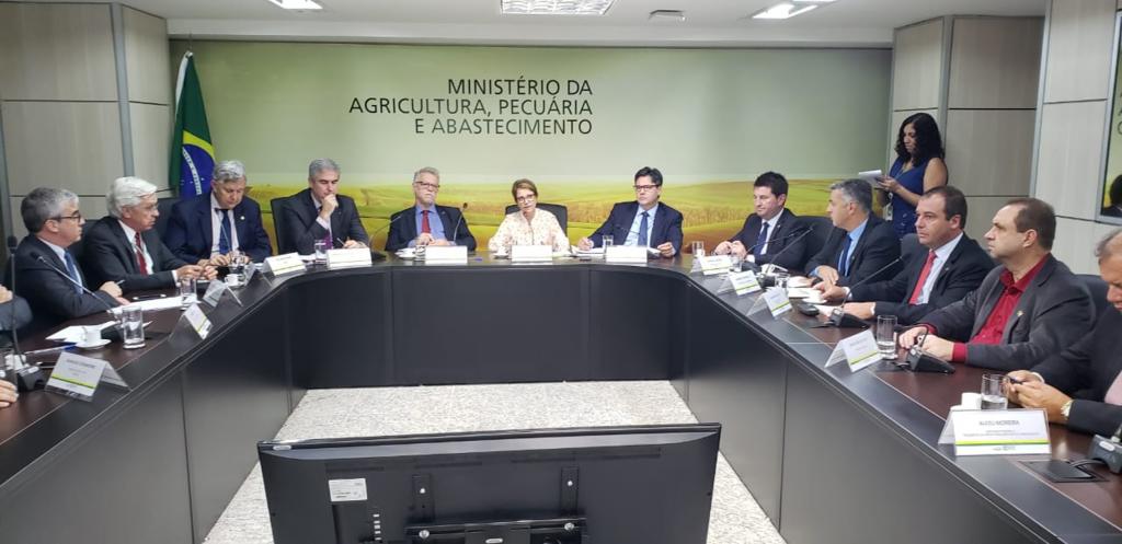 Ministério da Fazenda promete proposta para endividamento no arroz