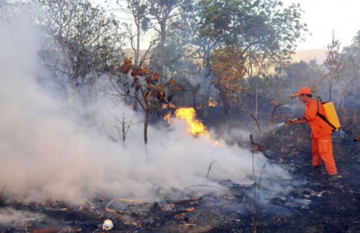 Tocantins registra diminuição de 79% na taxa de crescimento dos focos de queimadas