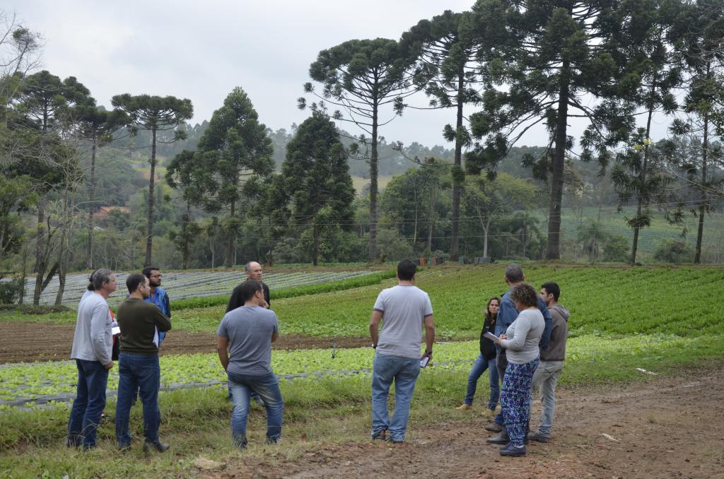 ​  Horticultores buscam as melhores  tecnologias ao redor do mundo