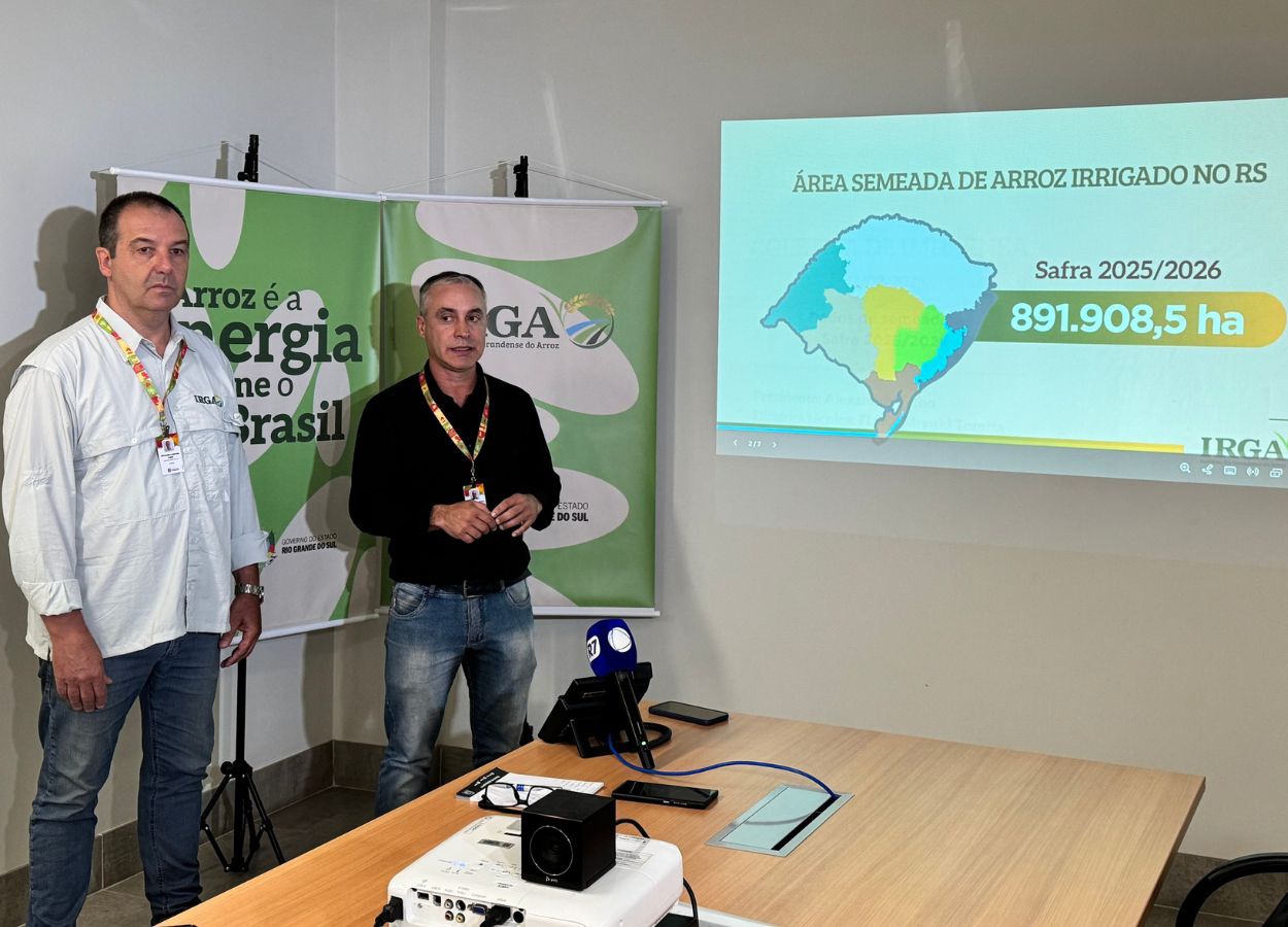 Área de arroz plantada no RS recua 8% na safra 2025/26