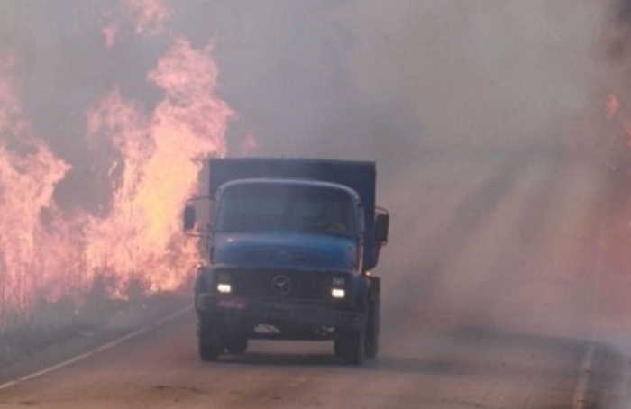 Agropecuária é aliada no combate aos incêndios rurais