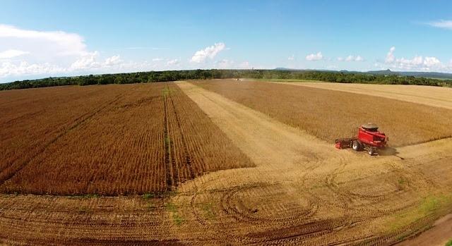 Clima desafia alta produtividade da soja, alerta Aprosoja Brasil