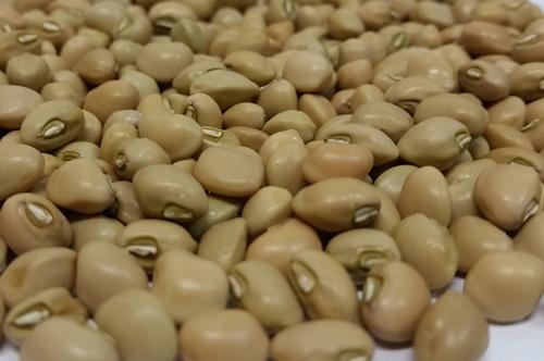 BioFort terá mais uma cultivar de feijão-caupi