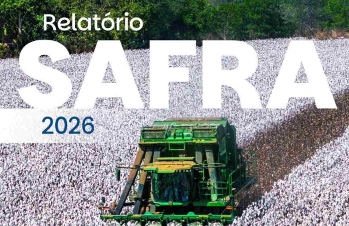 Brasil lidera exportações de algodão na safra 2025/26