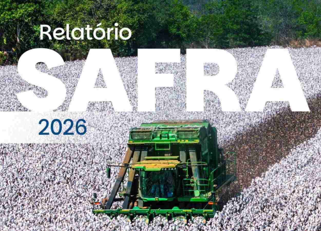 Brasil lidera exportações de algodão na safra 2025/26