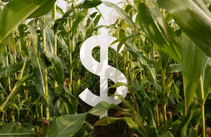 Crédito rural em 2024 soma R$ 220 bilhões no Brasil