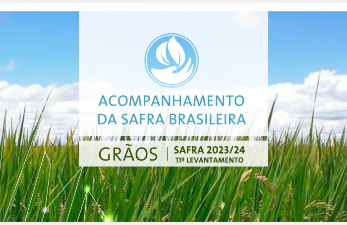 Produção de grãos no Brasil sofre redução na safra 2023-24, diz Conab