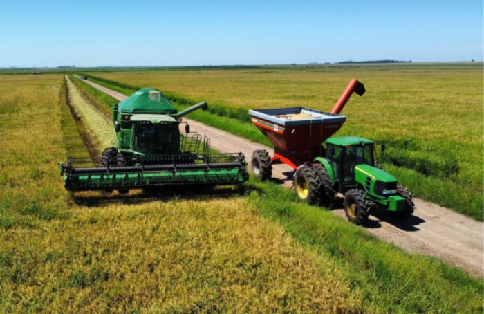 Plantio de arroz avança e se aproxima do fim no RS