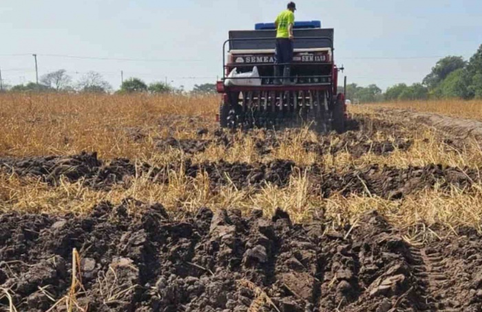 Abertura da Colheita do arroz amplia vitrine para outras culturas