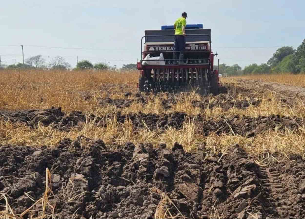 Abertura da Colheita do arroz amplia vitrine para outras culturas