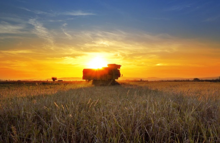 Pesquisa revela principais tendências do agronegócio brasileiro