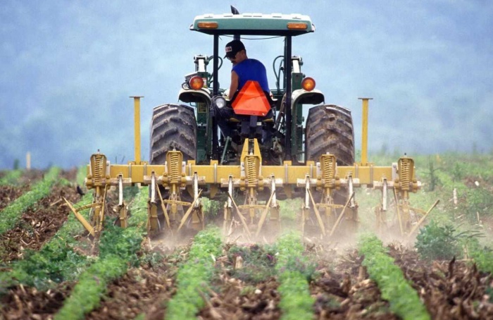 Setor de fertilizantes pede medidas para aliviar custos no campo