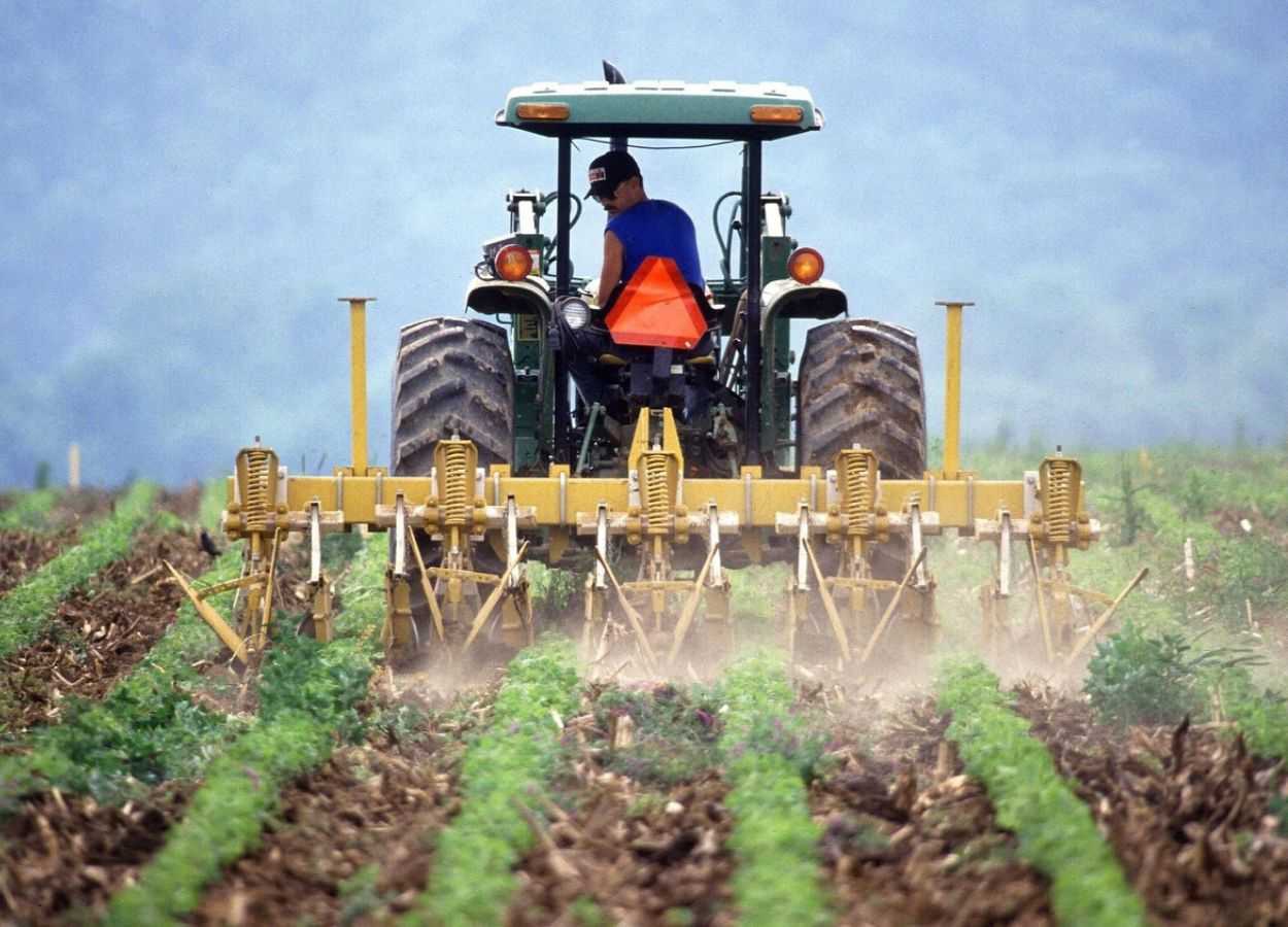 Setor de fertilizantes pede medidas para aliviar custos no campo