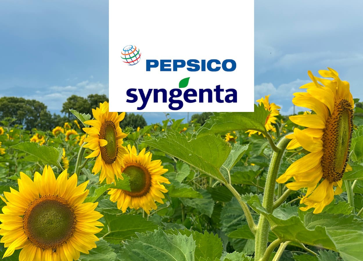 Syngenta e PepsiCo comemoram primeiro ano de parceria em agricultura regenerativa