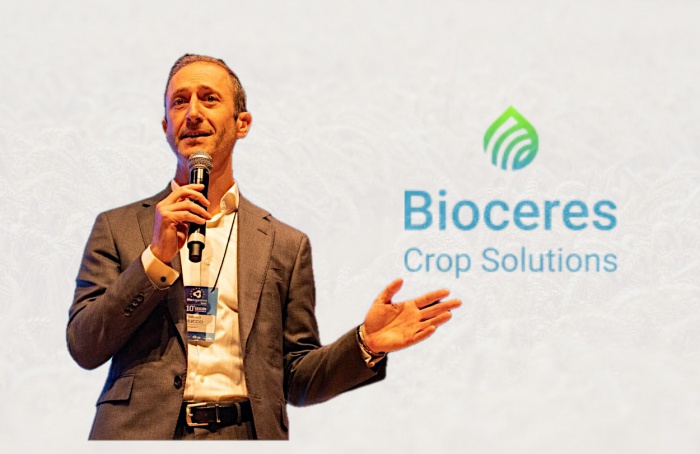 Bioceres inicia vendas de sementes de trigo transgênico na Argentina