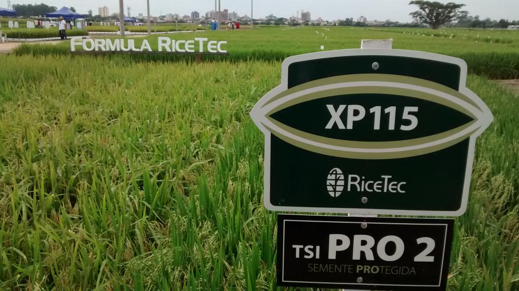 ​RiceTec oferece benefícios na compra antecipada de sementes