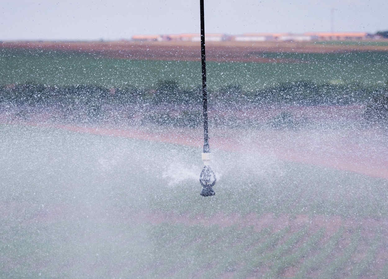 Le ministère de l'Agriculture lance un projet pilote d'assurance rurale