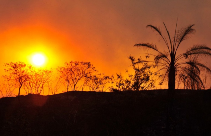 Minas Gerais institui comitê de Energia e Mudança do Clima