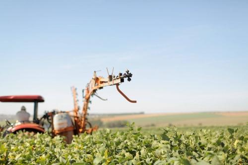 Mais biodiesel adicionado ao diesel é a nova oportunidade para agricultura familiar no RS