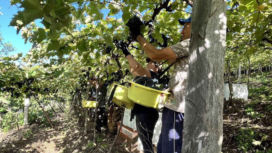 Foto: Cassiano Farina