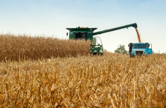 Cédulas de Produto Rural totalizam R$ 561 bilhões em fevereiro