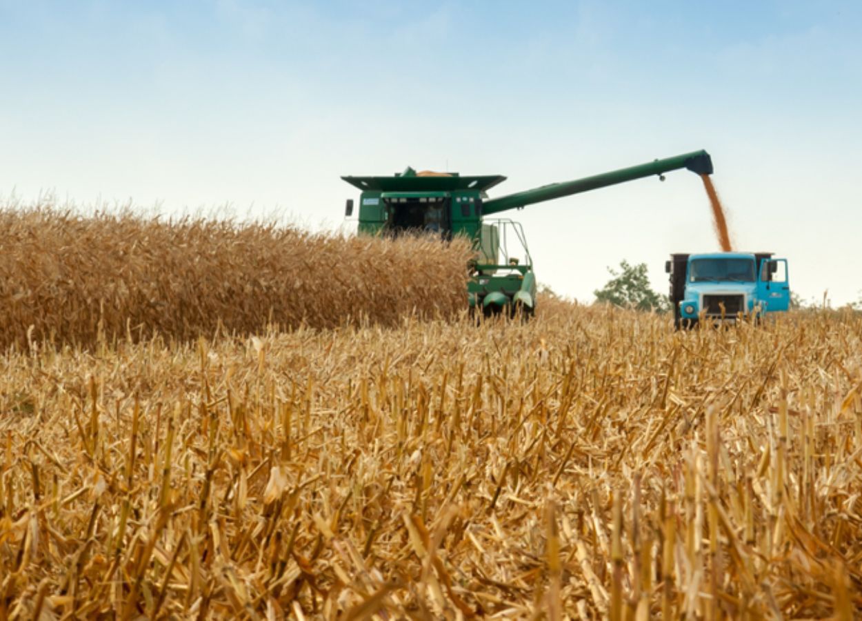 Crescimento foi de 16% nos estoques do mês, com 402 mil cédulas registradas