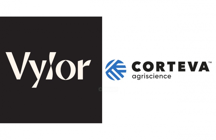Conselho da Corteva aprova cisão da Vylor