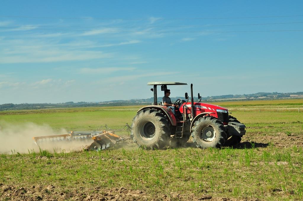 Produtores de arroz do RS seguem voltados aos trabalhos de campo