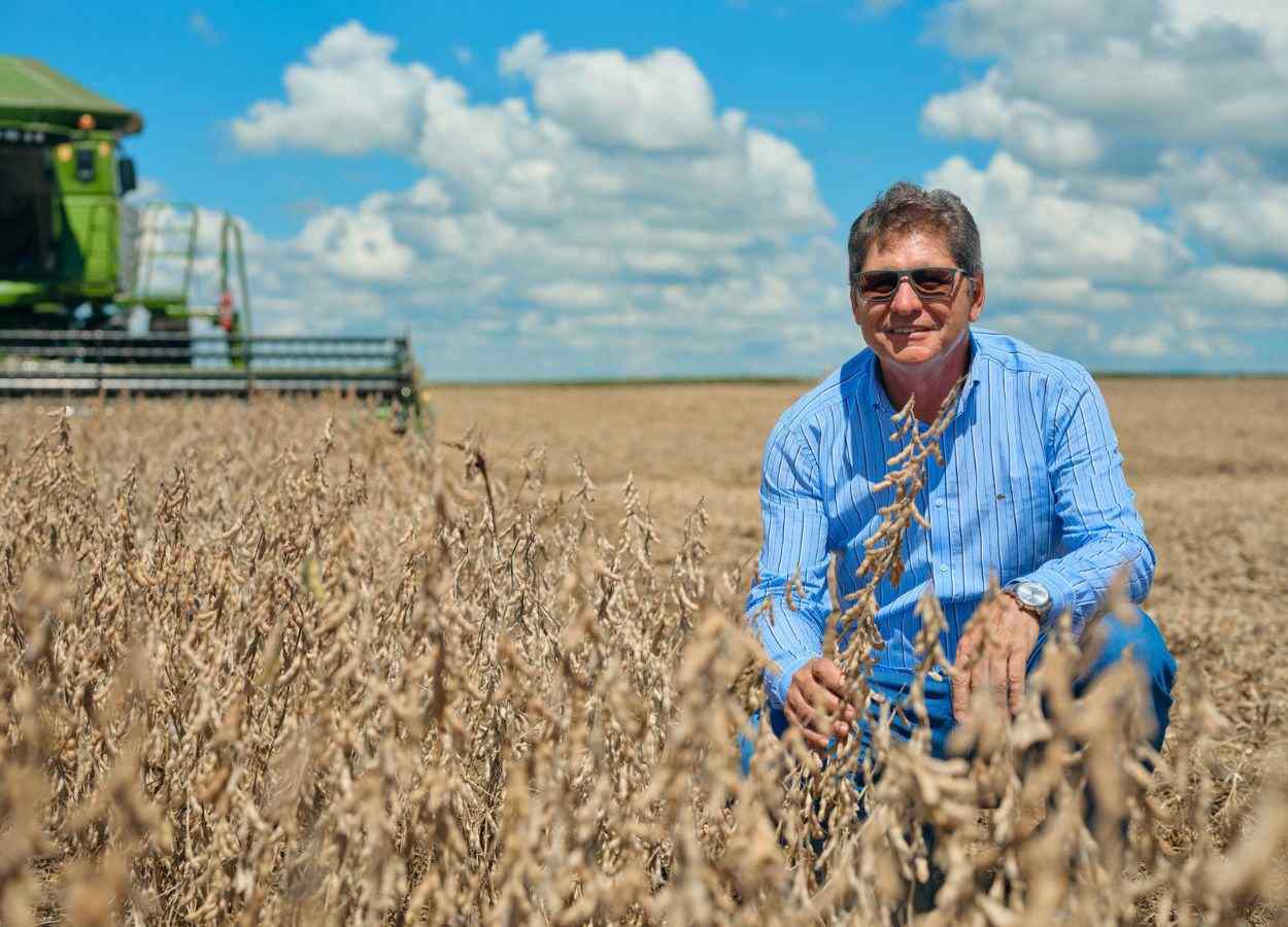 Soja tem produtividade irregular sob efeito do La Niña