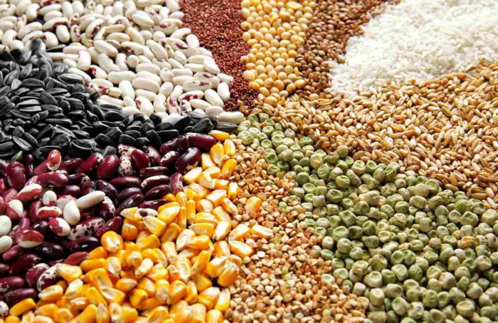 Conab estimates production of 294,1 million tons of grains in the 2023-24 harvest