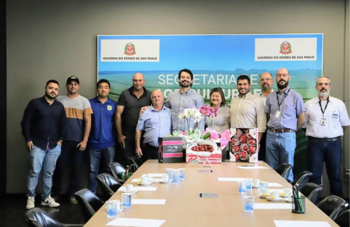 Incentivo à produção de morango é tema de reunião na Secretaria de Agricultura de São Paulo