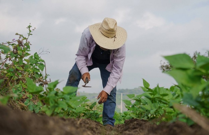 Inadimplência atinge 8,2% da população rural em 2025
