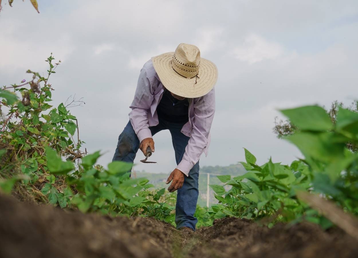 Inadimplência atinge 8,2% da população rural em 2025