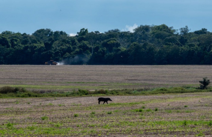 Instituto calcula risco climático em propriedades rurais