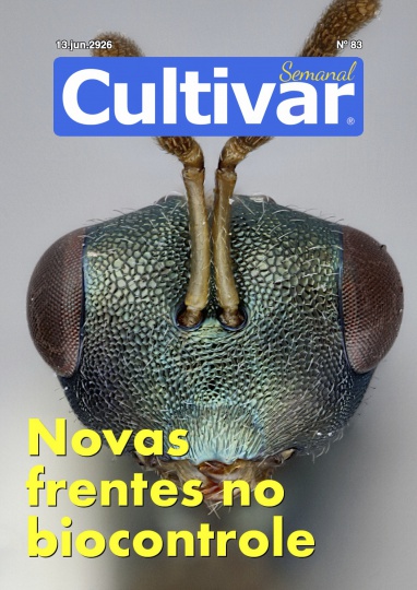 Cultivar Semanal 83