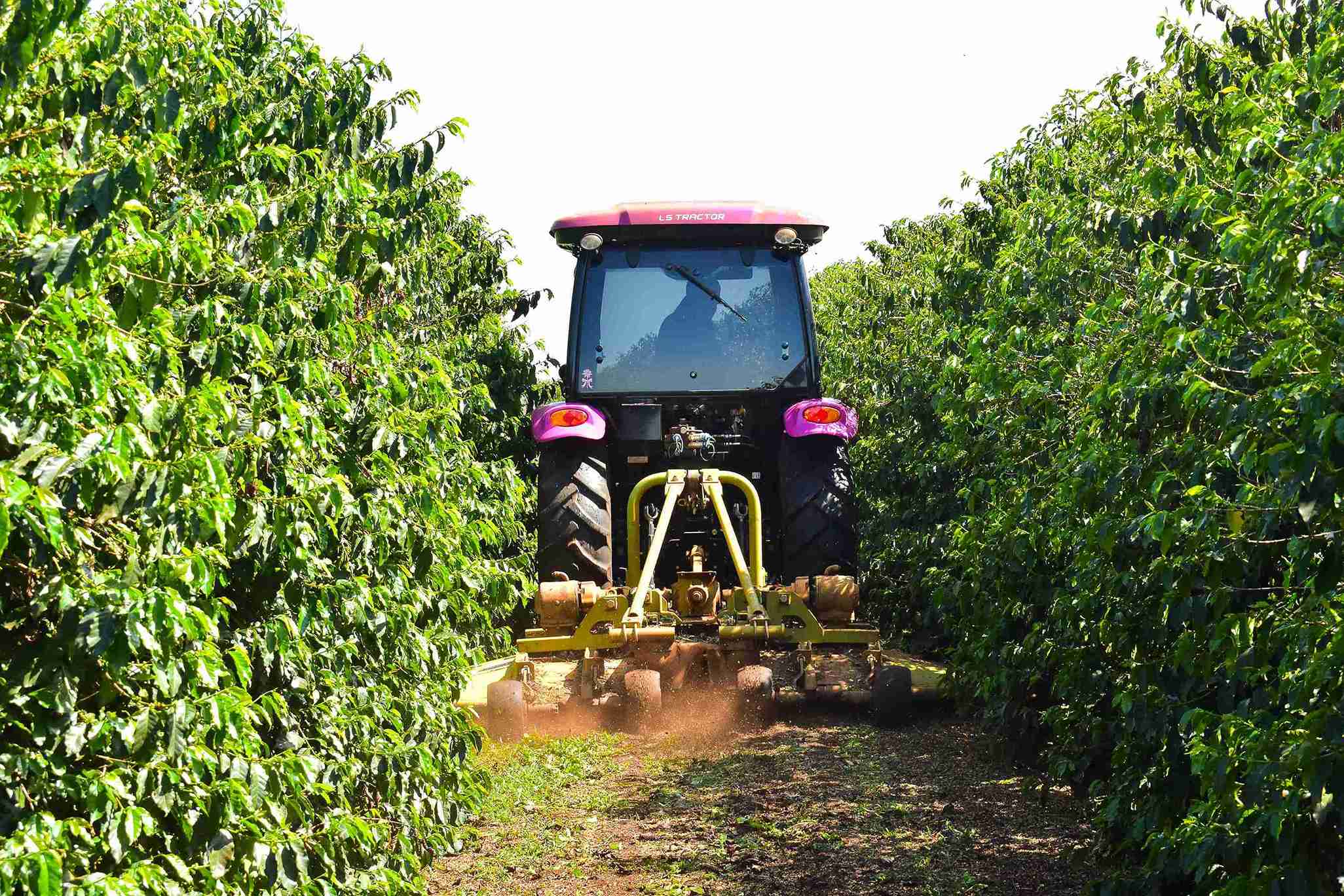 Durante o teste, utilizamos os tratores em operações com roçadoras para realizar a limpeza entre as linhas de café e um pulverizador atomizador, que aplicava fertilizante orgânico na base das plantas