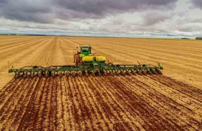 Goiás abre plantio da soja com expectativa de novo recorde