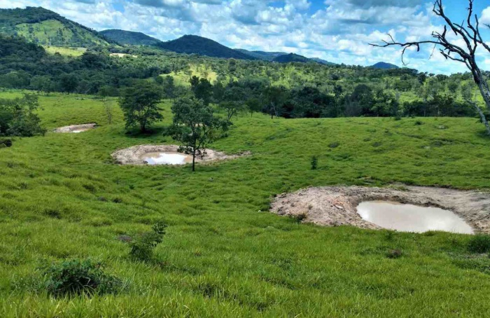 Emater-MG recomenda práticas sustentáveis para reduzir impactos da estiagem no campo