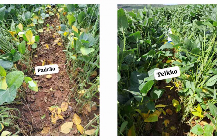 PI AgSciences estreia na Feira SCV com plataforma de peptídeos