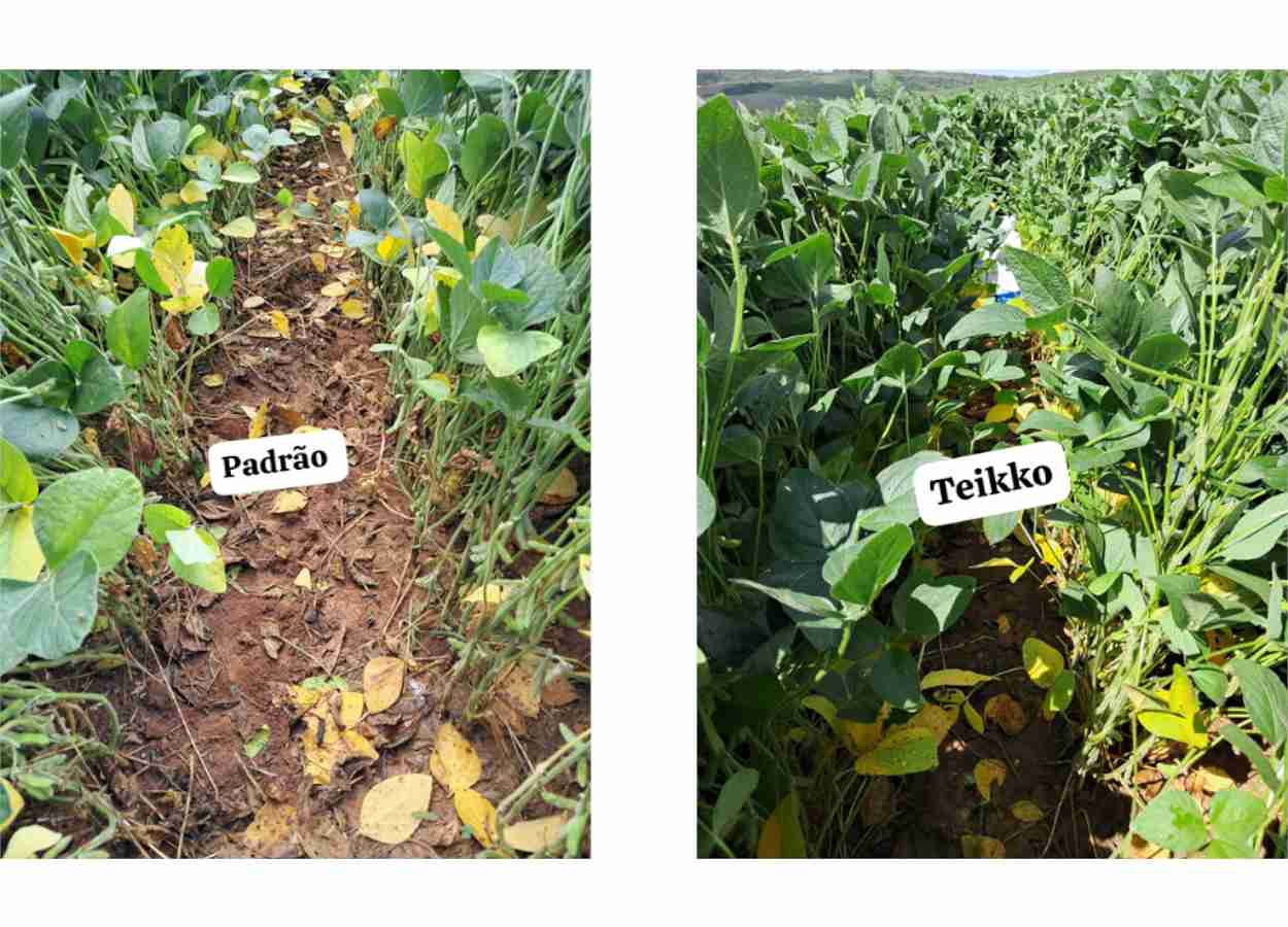 PI AgSciences estreia na Feira SCV com plataforma de peptídeos