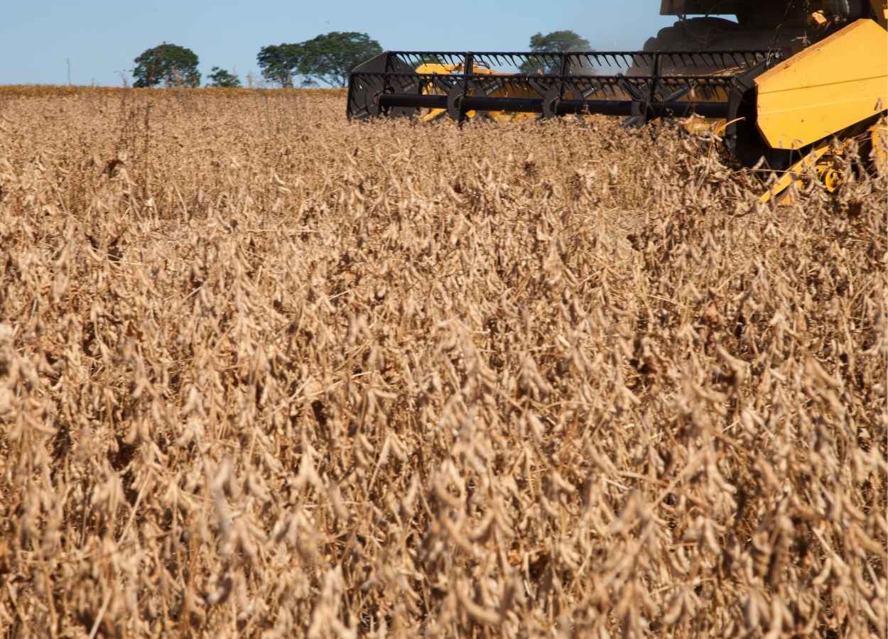 PR Safra 2026/27: soja tem previsão de produção recorde